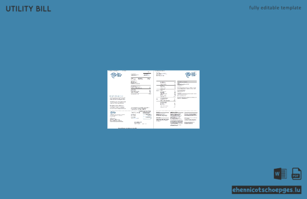 US-amerikanische Time Warner Cable-Rechnung (Word-Format, 2 Seiten), Beispielvorschau